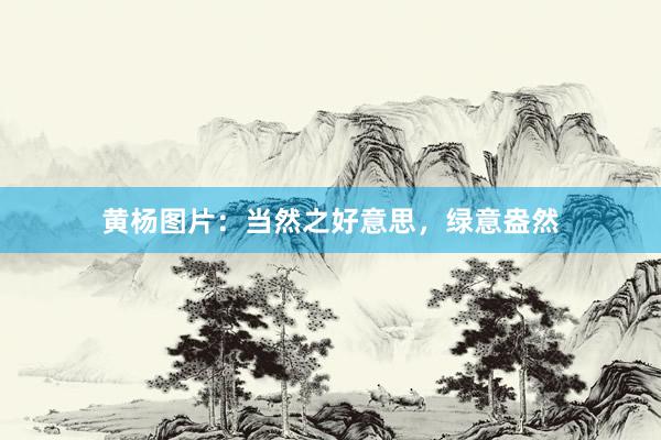 黄杨图片：当然之好意思，绿意盎然
