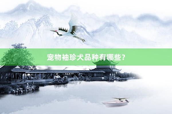 宠物袖珍犬品种有哪些？
