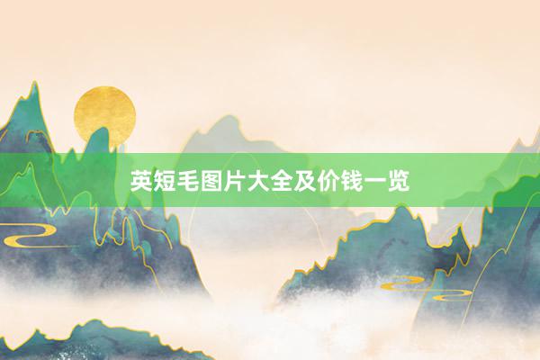 英短毛图片大全及价钱一览