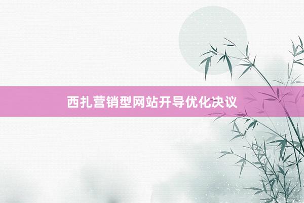西扎营销型网站开导优化决议